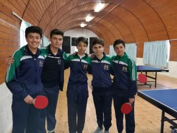 team-ping-pong